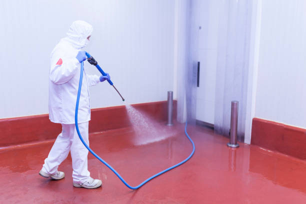 Best Patio and Deck Pressure Washing  in Lusby, MD